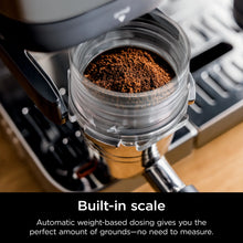 Load image into Gallery viewer, colour_Stainless Steel