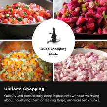 Load image into Gallery viewer, Ninja Professional Food Processor
